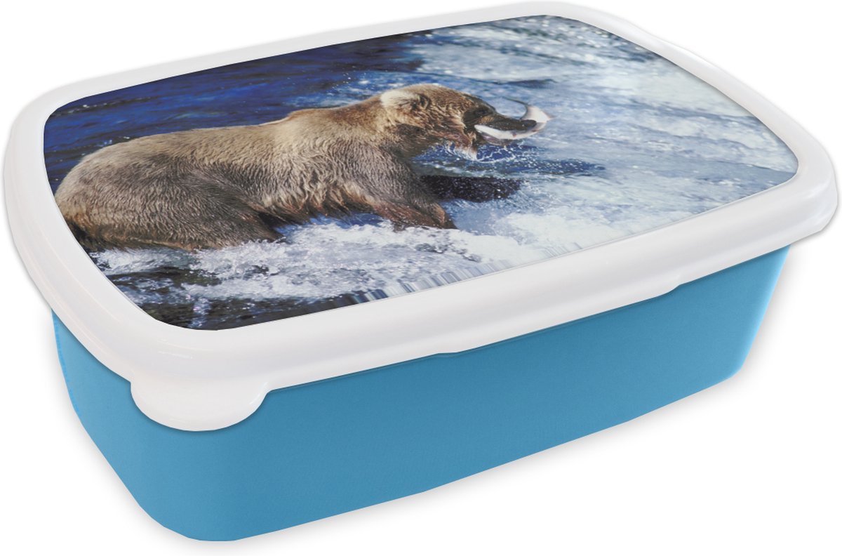 Broodtrommel Blauw - Lunchbox - Brooddoos - Beer - Vis - Waterval - 18x12x6 cm - Kinderen - Jongen