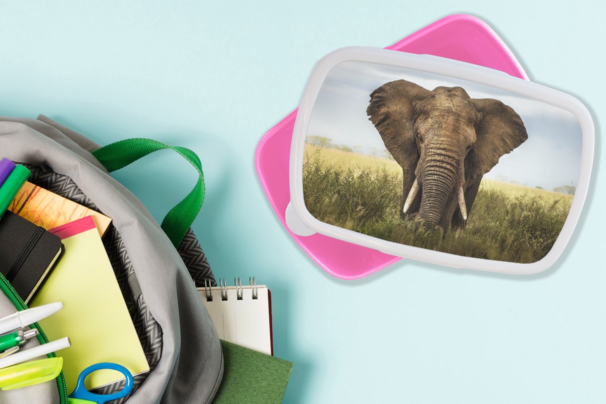 Broodtrommel Roze - Lunchbox - Brooddoos - Dreigende olifant - 18x12x6 cm - Kinderen - Meisje