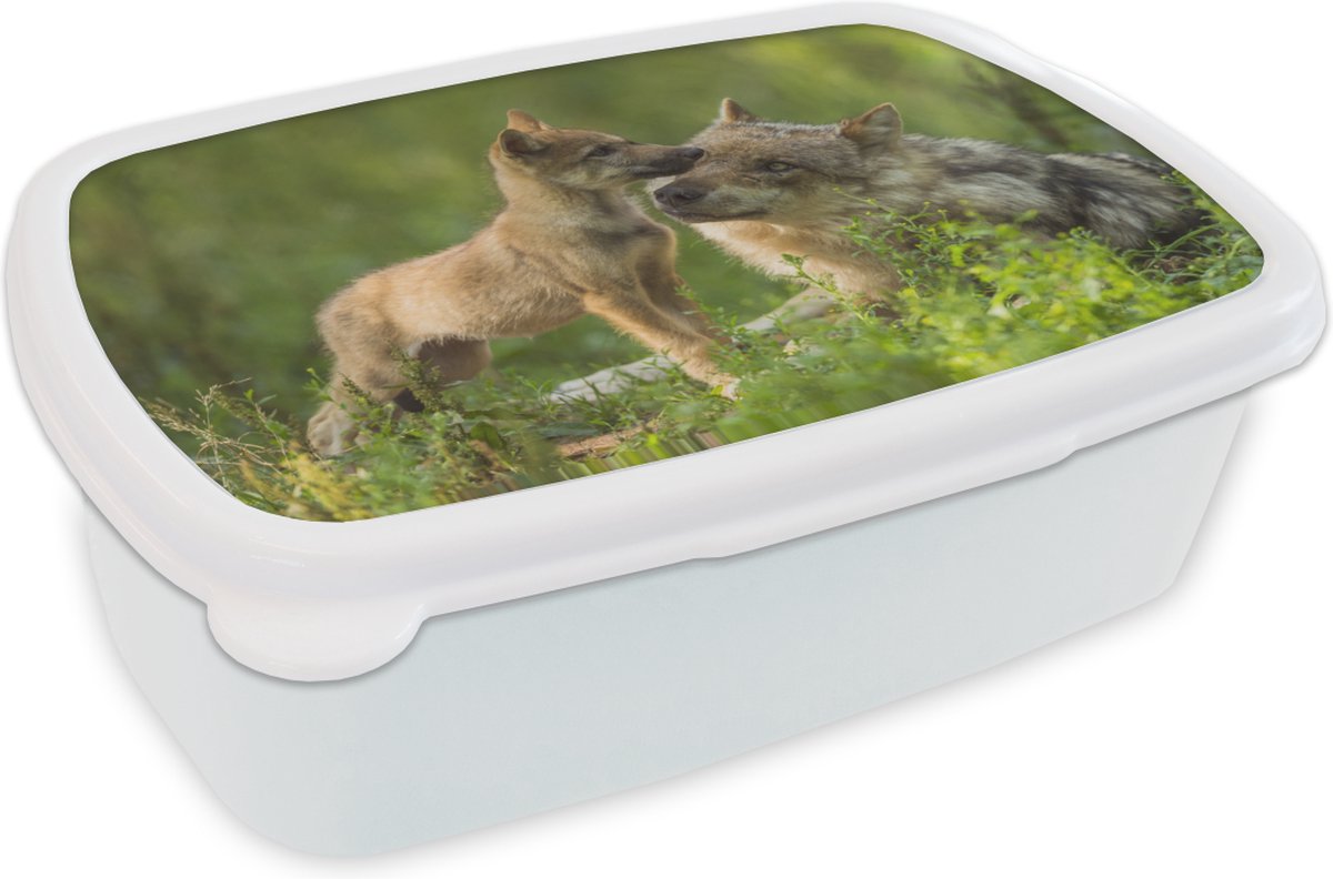 Broodtrommel Wit - Lunchbox - Brooddoos - Wolf - Gras - Welp - 18x12x6 cm - Volwassenen