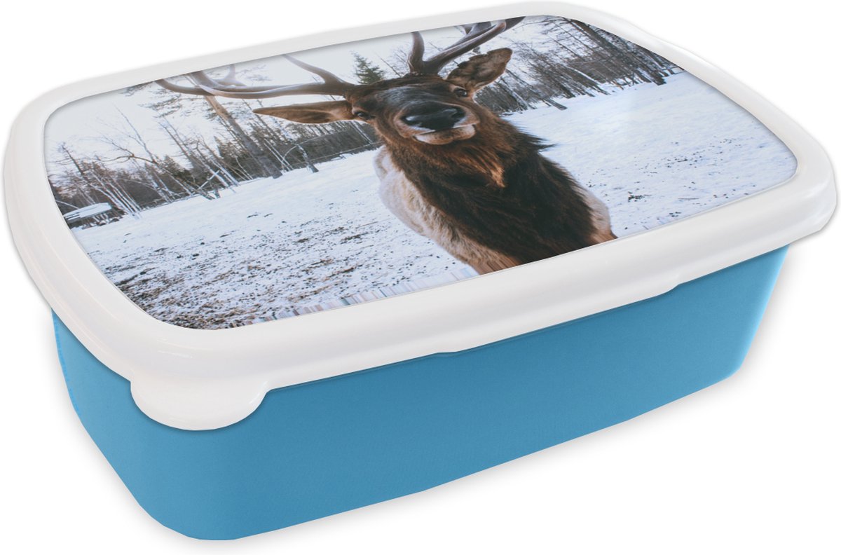 Broodtrommel Blauw - Lunchbox - Brooddoos - Hert - Sneeuw - Neus - 18x12x6 cm - Kinderen - Jongen