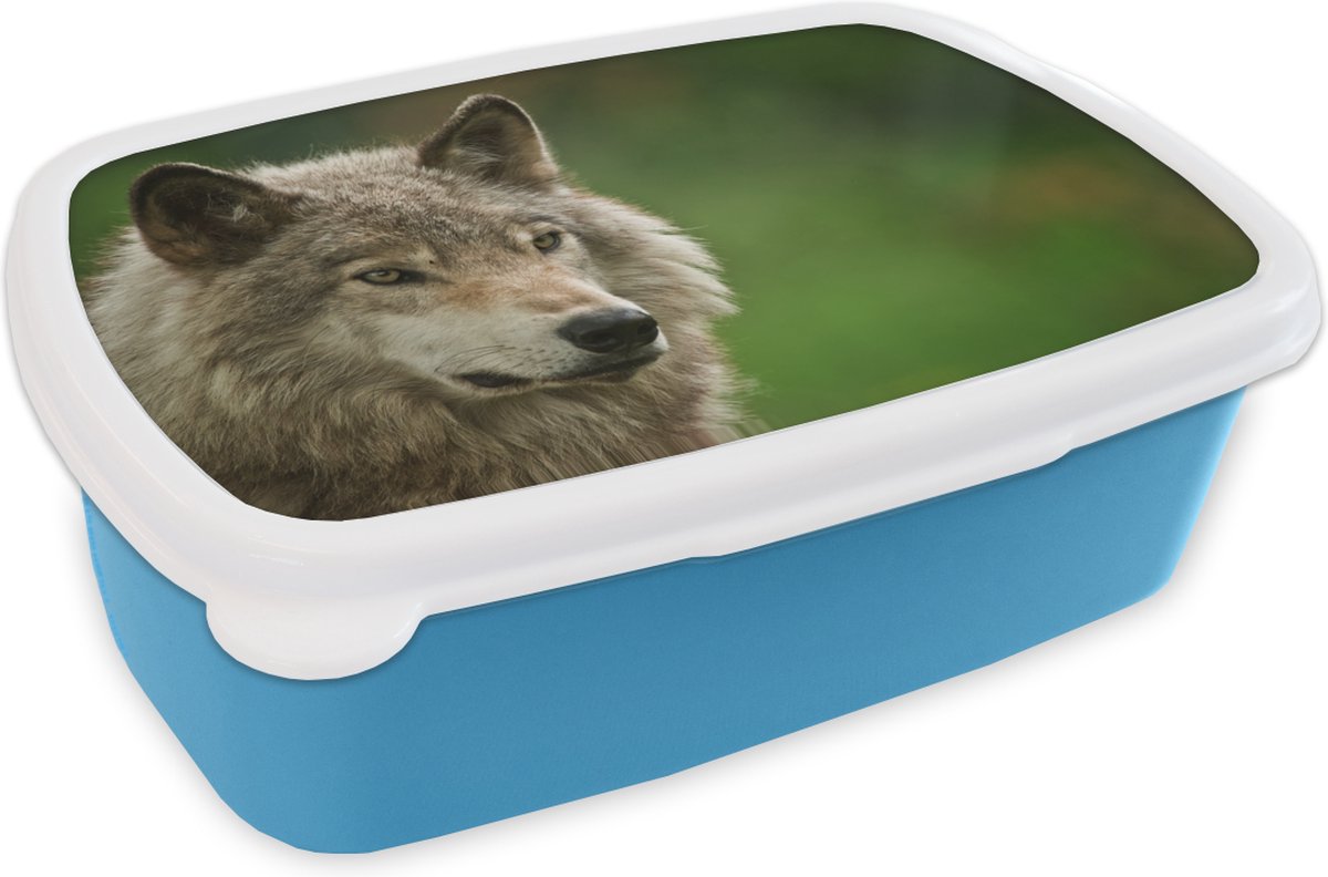 Broodtrommel Blauw - Lunchbox - Brooddoos - Wolf - Grijs - Vacht - 18x12x6 cm - Kinderen - Jongen
