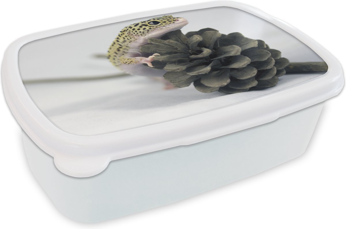 Broodtrommel Wit - Lunchbox - Brooddoos - Gekko op een dennenboom - 18x12x6 cm - Volwassenen