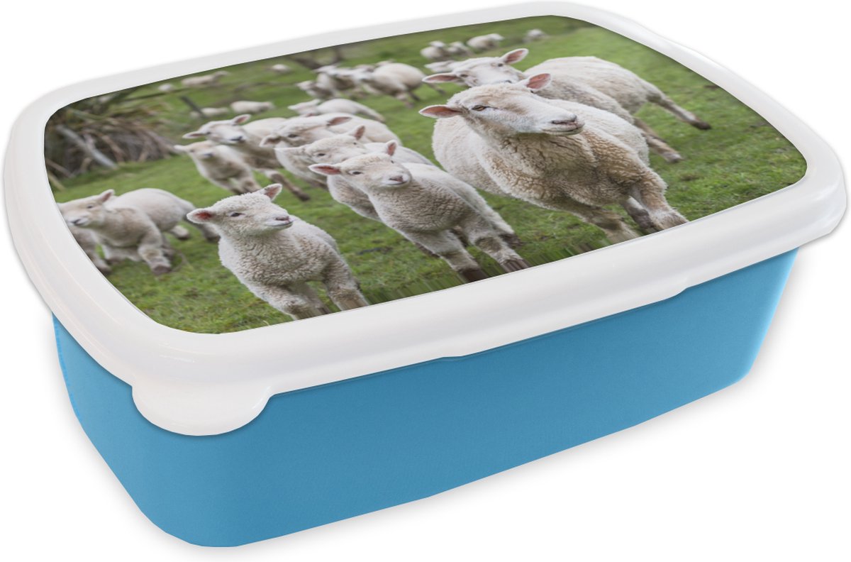 Broodtrommel Blauw - Lunchbox - Brooddoos - Schaap - Gras - Lam - 18x12x6 cm - Kinderen - Jongen