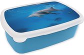 Broodtrommel Blauw - Lunchbox - Brooddoos - Dolfijn - Zee - Egypte - 18x12x6 cm - Kinderen - Jongen