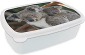 Broodtrommel Wit - Lunchbox - Brooddoos - Koala's - Vader - Zoon - Kids - Jongens - Meiden - 18x12x6 cm - Volwassenen