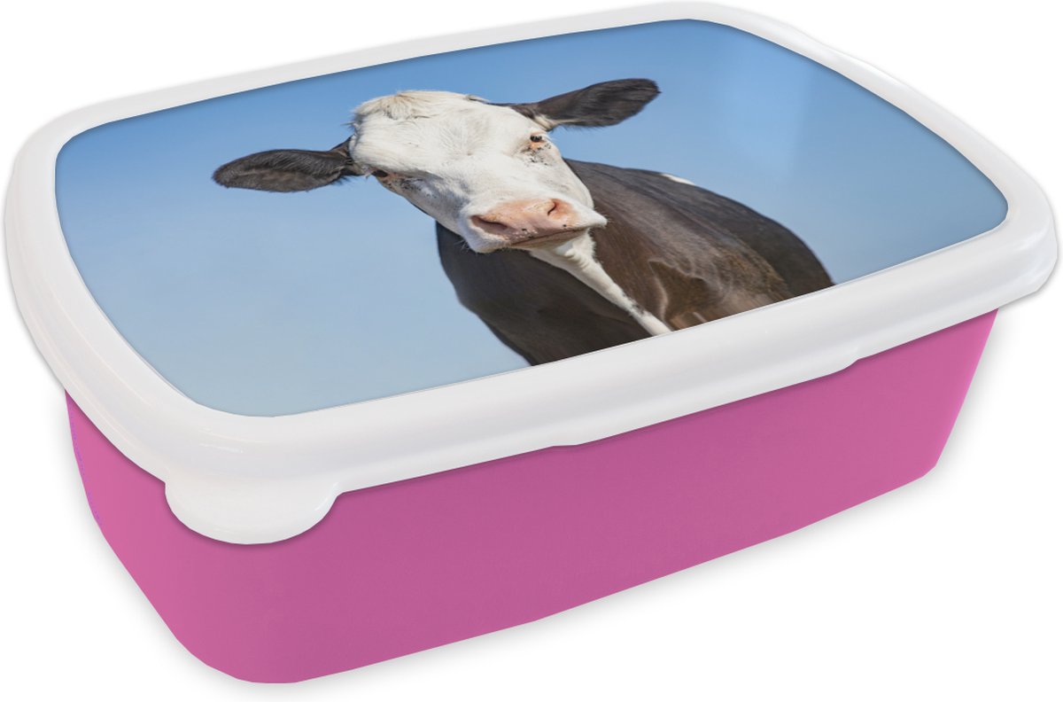 Broodtrommel Roze - Lunchbox - Brooddoos - Koe - Macro - Blauw - 18x12x6 cm - Kinderen - Meisje