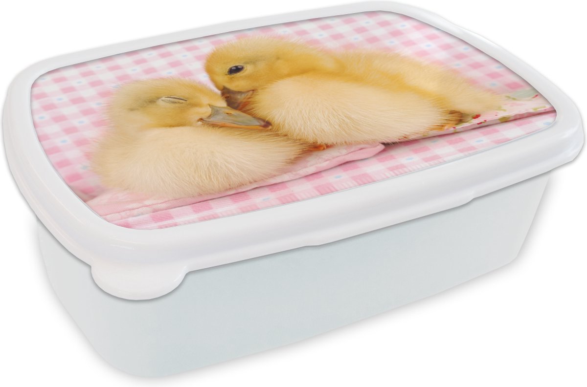 Broodtrommel Wit - Lunchbox - Brooddoos - Eend - Liefde - Kuiken - 18x12x6 cm - Volwassenen