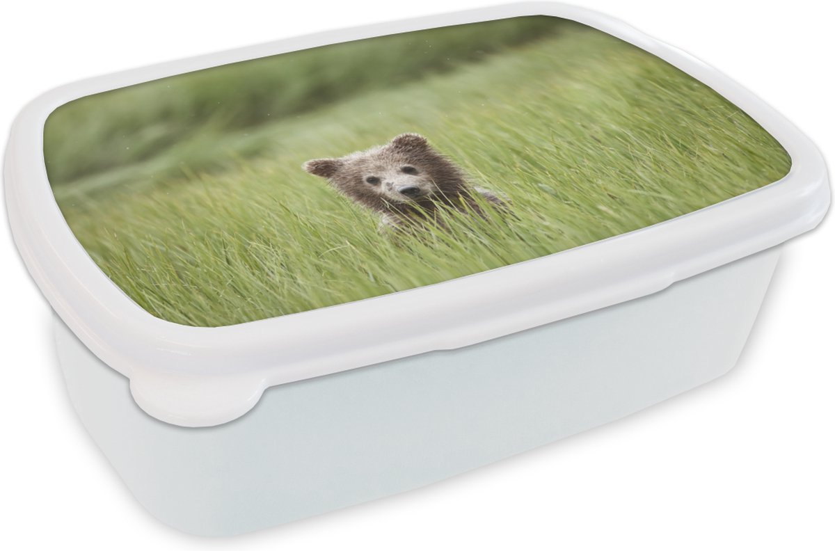 Broodtrommel Wit - Lunchbox - Brooddoos - Beer - Grizzly - Gras - Welp - 18x12x6 cm - Volwassenen
