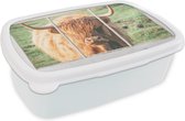 Broodtrommel Wit - Lunchbox - Brooddoos - Schotse hooglander - Natuur - Doorkijk - 18x12x6 cm - Volwassenen