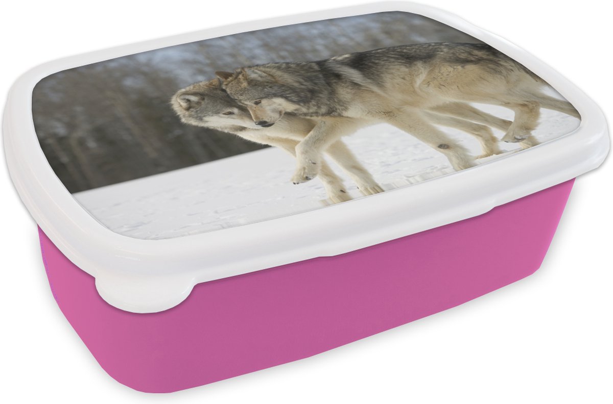 Broodtrommel Roze - Lunchbox - Brooddoos - Wolf - Sneeuw - Vacht - 18x12x6 cm - Kinderen - Meisje