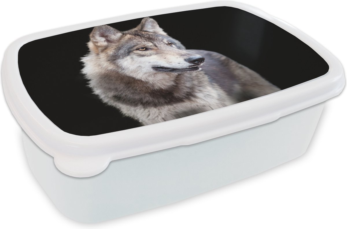 Broodtrommel Wit - Lunchbox - Brooddoos - Grijze wilde wolf - 18x12x6 cm - Volwassenen