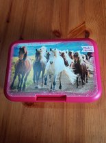 Boîte à lunch Pink Horse Friend