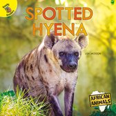 African Animals- Spotted Hyena