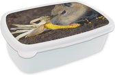 Broodtrommel Wit - Lunchbox - Brooddoos - Een close up van een Capibara die aan het eten is - 18x12x6 cm - Volwassenen