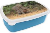 Broodtrommel Blauw - Lunchbox - Brooddoos - Twee Capibara jongen spelen met elkaar - 18x12x6 cm - Kinderen - Jongen