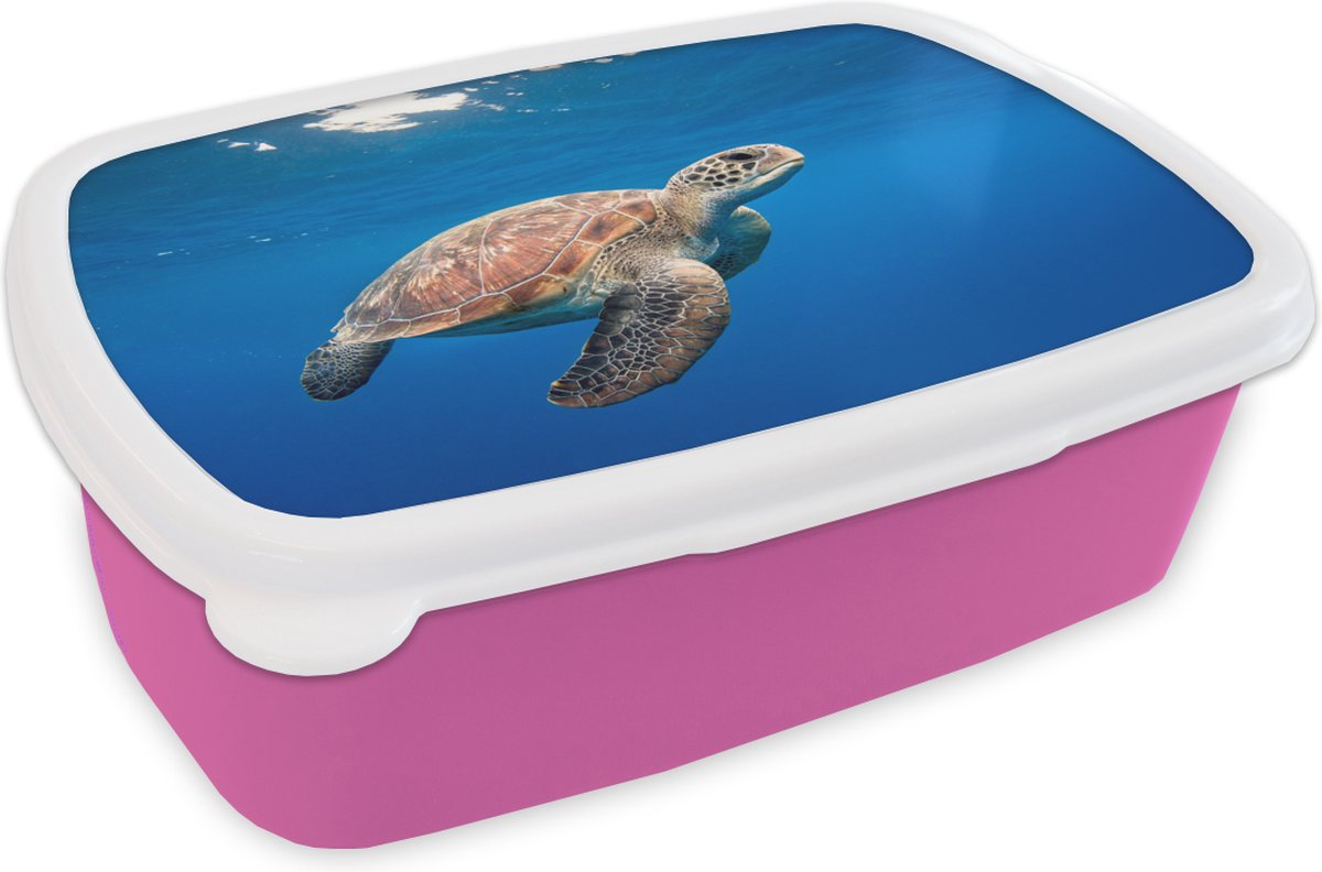 Broodtrommel Roze - Lunchbox - Brooddoos - Schildpad in de oceaan - 18x12x6 cm - Kinderen - Meisje