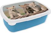 Broodtrommel Blauw - Lunchbox - Brooddoos - Wolf - Kind - Hout - 18x12x6 cm - Kinderen - Jongen
