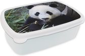 Broodtrommel Wit - Lunchbox - Brooddoos - Panda - Dier - Bladeren - 18x12x6 cm - Volwassenen