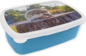 Broodtrommel Blauw - Lunchbox - Brooddoos - Etende egel - 18x12x6 cm - Kinderen - Jongen