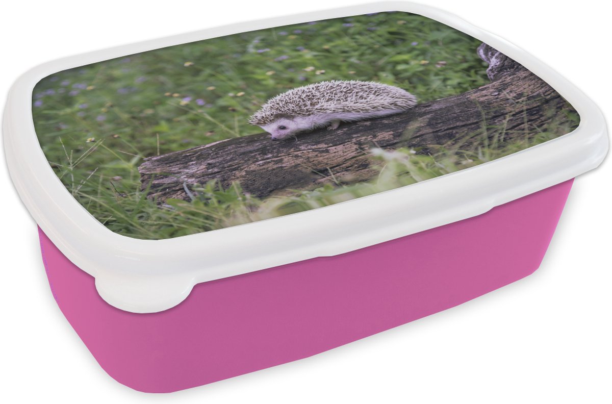Broodtrommel Roze - Lunchbox - Brooddoos - Egel op boomstronk - 18x12x6 cm - Kinderen - Meisje