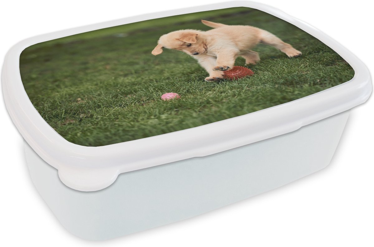 Broodtrommel Wit - Lunchbox - Brooddoos - Puppy speelt met bal - 18x12x6 cm - Volwassenen