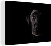 Canvas Schilderij Een zwarte Labrador Retriever op een zwarte achtergrond - 80x60 cm - Wanddecoratie