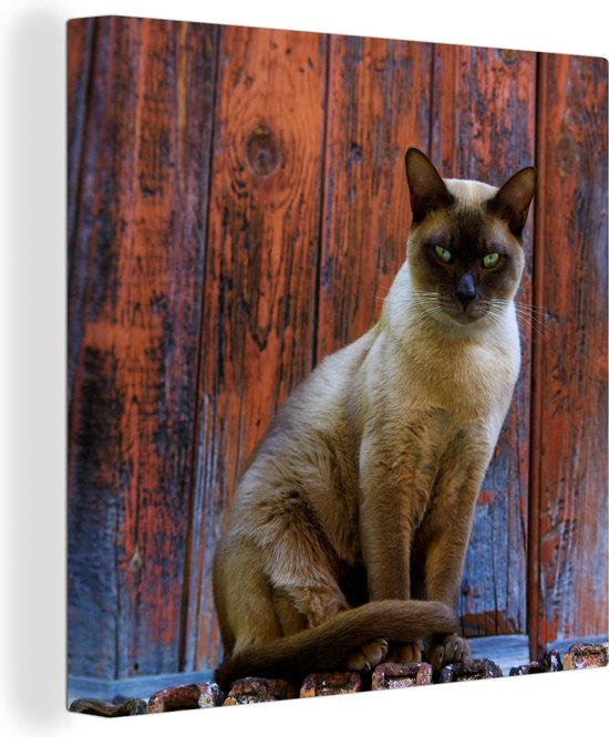 Canvas Schilderij Siamese kat met groene ogen op een houten achtergrond - 50x50 cm - Wanddecoratie