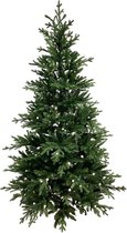 Hoge kwaliteit Kunstkerstboom Hageland 210 cm 350-LED