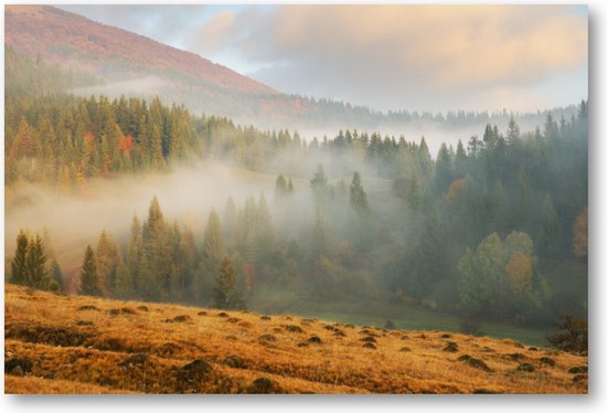 Mistige ochtend in de herfst - Canvas Liggend - Landschap - Natuur
