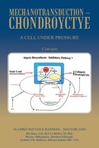 Mechanotransduction - Chondroyctye