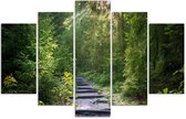 Trend24 - Canvas Schilderij - Pad In Het Groene Bos - Vijfluik - Landschappen - 150x100x2 cm - Groen