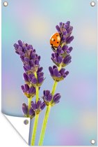 Muurdecoratie Lieveheersbeestje op lavendelbloem - 120x180 cm - Tuinposter - Tuindoek - Buitenposter