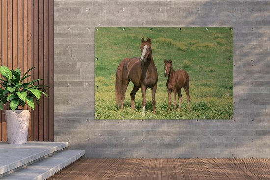 Décoration murale murale Paarden - Herbe - Marron - 180x120 cm - Affiche de jardin - Toile de jardin - Poster extérieur