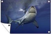 Muurdecoratie Grote witte haai - 180x120 cm - Tuinposter - Tuindoek - Buitenposter