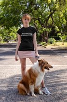 &70 Cotton &30 Dog Hair T-Shirt, Funny T-Shirt For Dog Owners, Unique Gift For Dog Lovers, Dog Owners Tee, Unisex Soft Style T-Shirt, D001-050B, M, Zwart