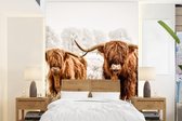 Behang - Fotobehang Schotse hooglander - Koe - Dieren - Breedte 205 cm x hoogte 280 cm