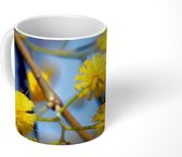 Mok - Close-up van gele mimosa bloemen aan een tak - 350 ML - Beker