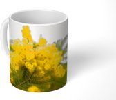 Mok - Een kleurrijke mimosa plant - 350 ML - Beker