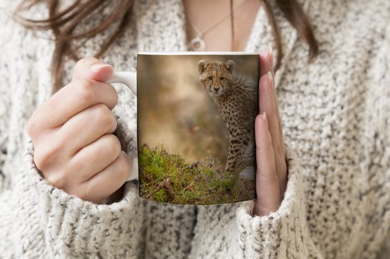 Tasse - Tasse à café - Léopard - Jeune - Nature - Tasses - 350 ML - Tasse - Tasses à café - Tasse à thé - Décoration Sinterklaas - Cadeaux pour enfants - Cadeaux chaussures Sinterklaas