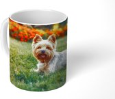 Mok - Schattige Yorkshire Terrier ligt lekker in het groene gras - 350 ML - Beker