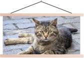 Porte-affiche avec affiche - Affiche scolaire - Chat - Animal - Marron - Filles - Enfants - Garçons - Enfant - 150x75 cm - Lattes vierges