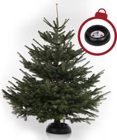 Echte Nordmann Kerstboom - 160-175 cm - A-kwaliteit - MET Quicktreestand Kerstboomstandaard ZWART