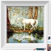 Artstudioclub™  Diamond painting volwassenen 30*30cm  Eenhoorn