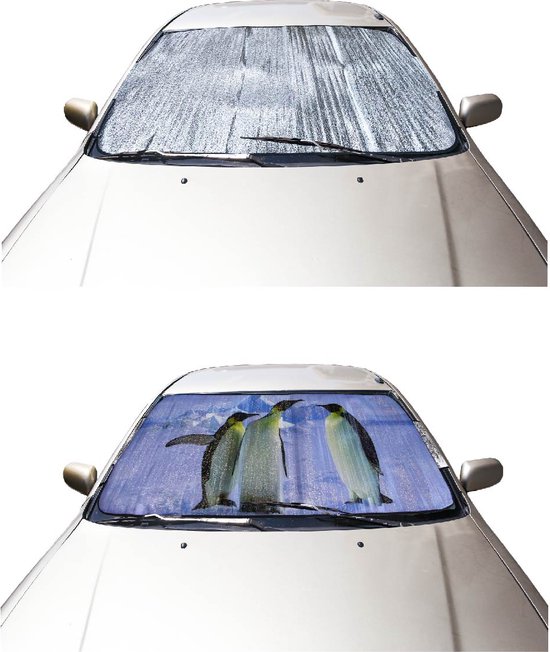 Couverture anti-gel voiture - Couverture anti-glace avec fixation de porte  - Aspect