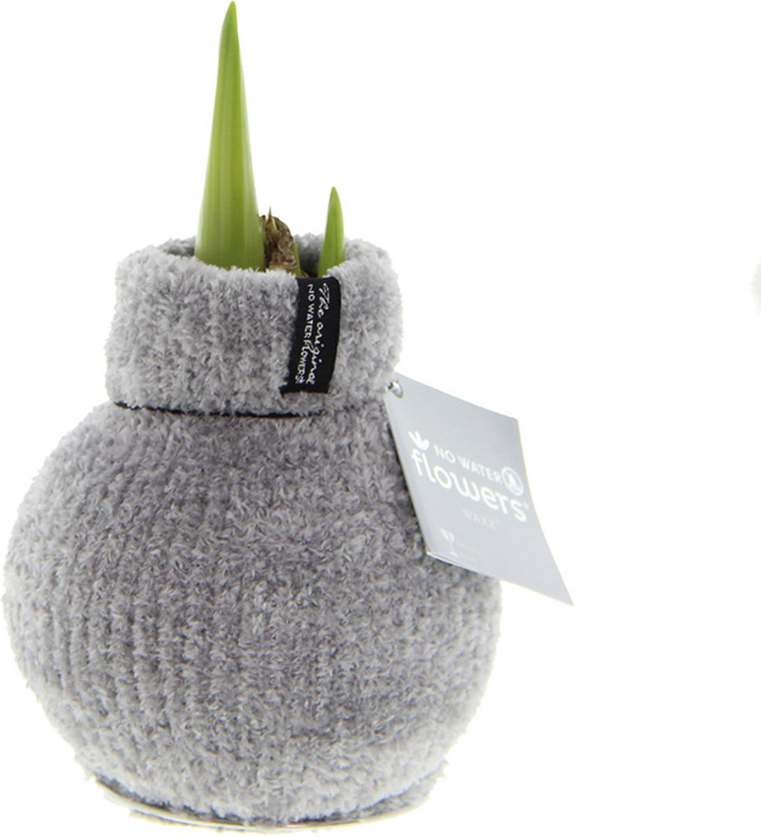 Wax Amaryllis Fashionz Cozy Fluffy Grijs | Prachtige Wax Amaryllis voor in huis