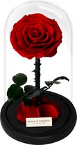 Roses of Eternity - 3 Jaar houdbare rode roos in glazenstolp - Cadeau voor vrouw, vriendin, haar - Huwelijk - Romantisch Liefdes cadeau cadeautje - Kerst - rood