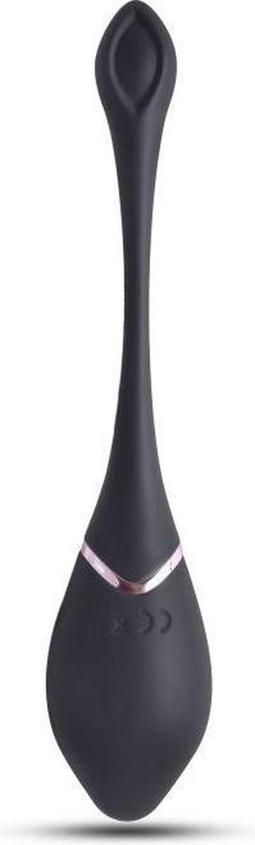 Vibratie Eitje met Afstandsbediening Dirty Mind - Oplaadbaar