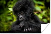 Poster Close-up jonge gorilla - 30x20 cm