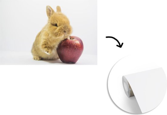 Papier peint photo peint photo vinyle - Bébé lapin avec une pomme largeur 450 cm x hauteur 300 cm - Tirage photo sur papier peint (disponible en 7 tailles)