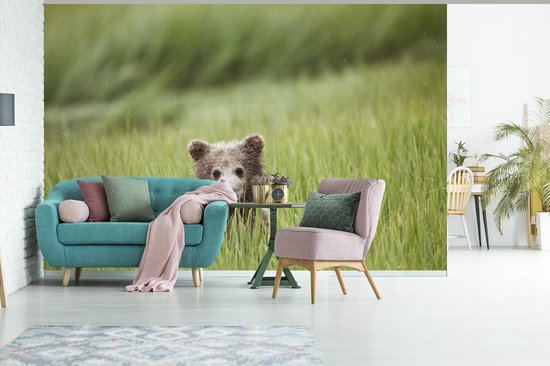 Papier peint photo peint photo vinyle - Ours Grizzly en herbe haute largeur 450 cm x hauteur 300 cm - Tirage photo sur papier peint (disponible en 7 tailles)